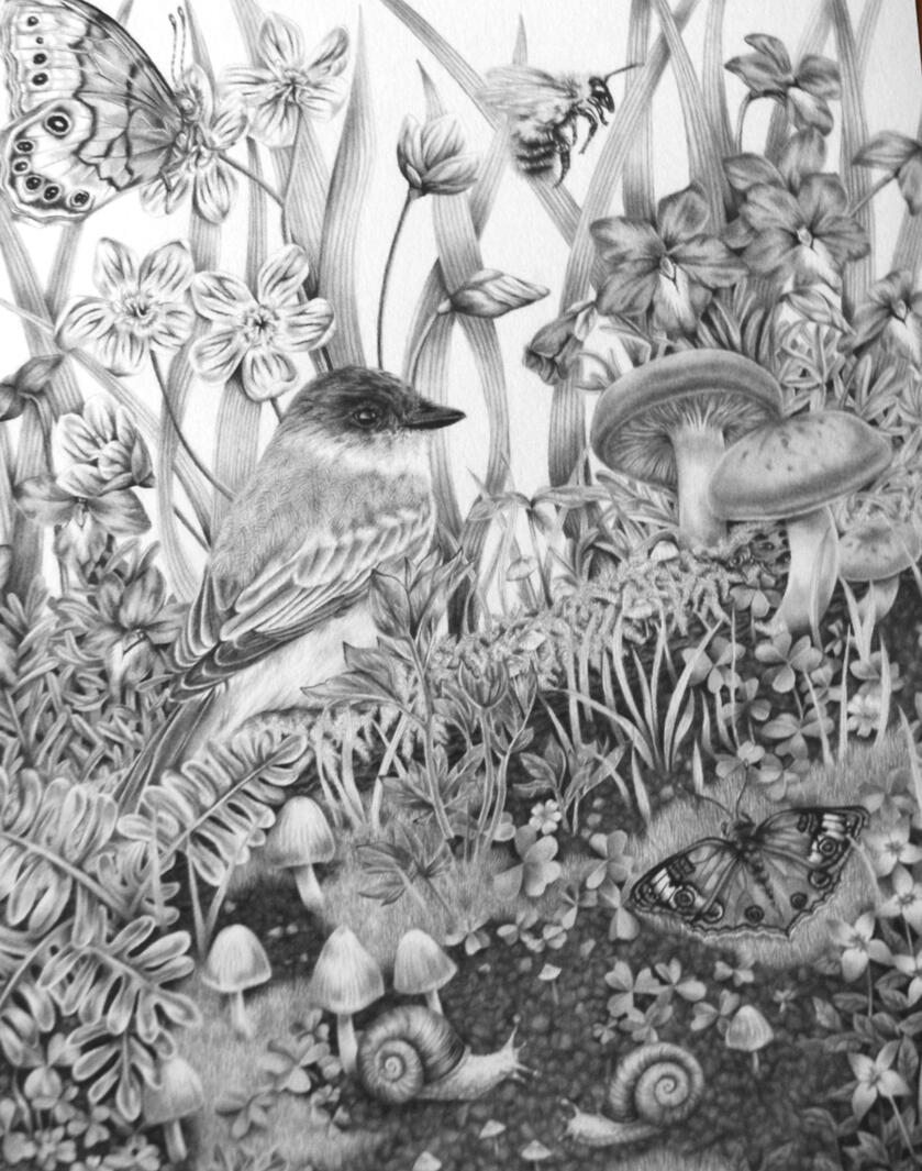 June Drawing of a bird and butterflies