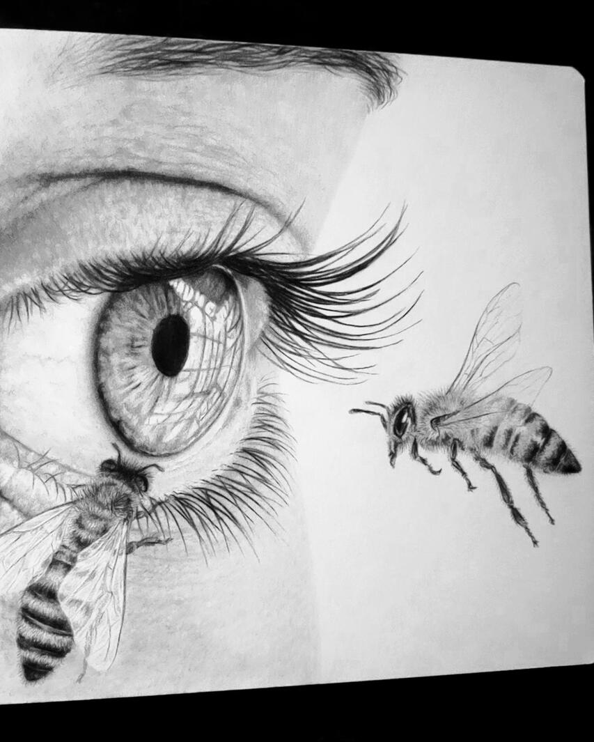 Observation Bee looking at an eye